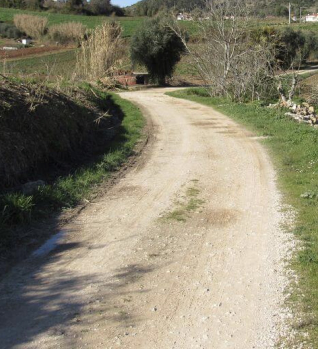 Trilhos e caminhos da Filha Boa entre vinhas e campos